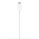 Apple MagSafe Charger (MHXH3)